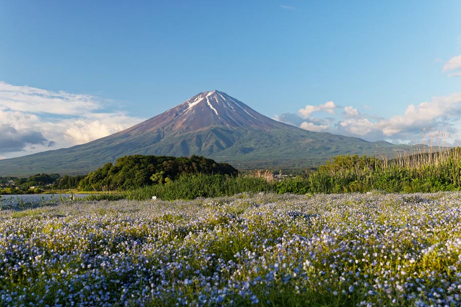 Mt.Fuji_title