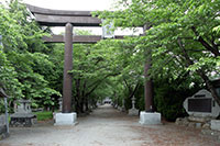 大鳥居と参道