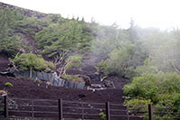 登山道