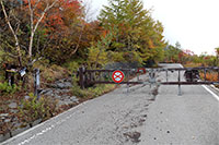 そしてまた登山道へ