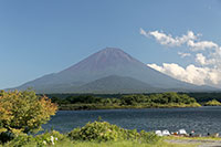 手前に見えるのは大室山