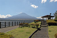 長池親水公園