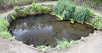 銚子池 パノラマ