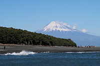 三保松原ごしの富士山